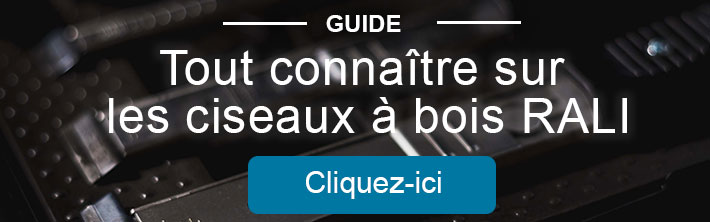 guide utilisation des ciseaux