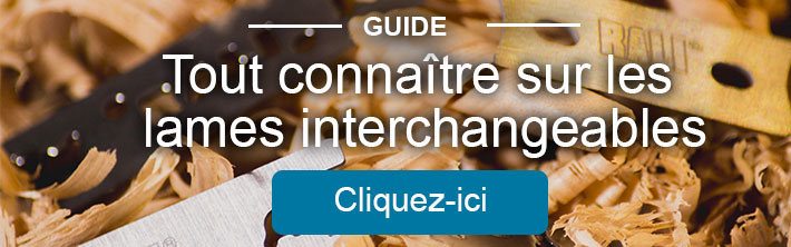 Système de lames interchangeables